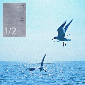 绝区零同人18❌本子图片
